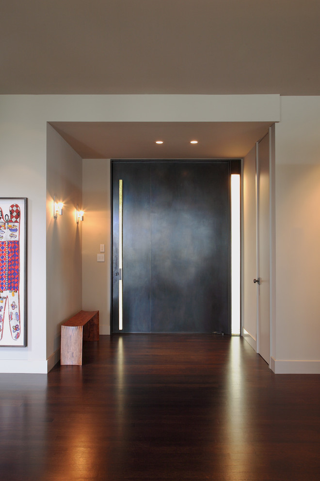 Пример оригинального дизайна: фойе среднего размера в стиле модернизм с бежевыми стенами, темным паркетным полом, одностворчатой входной дверью и металлической входной дверью