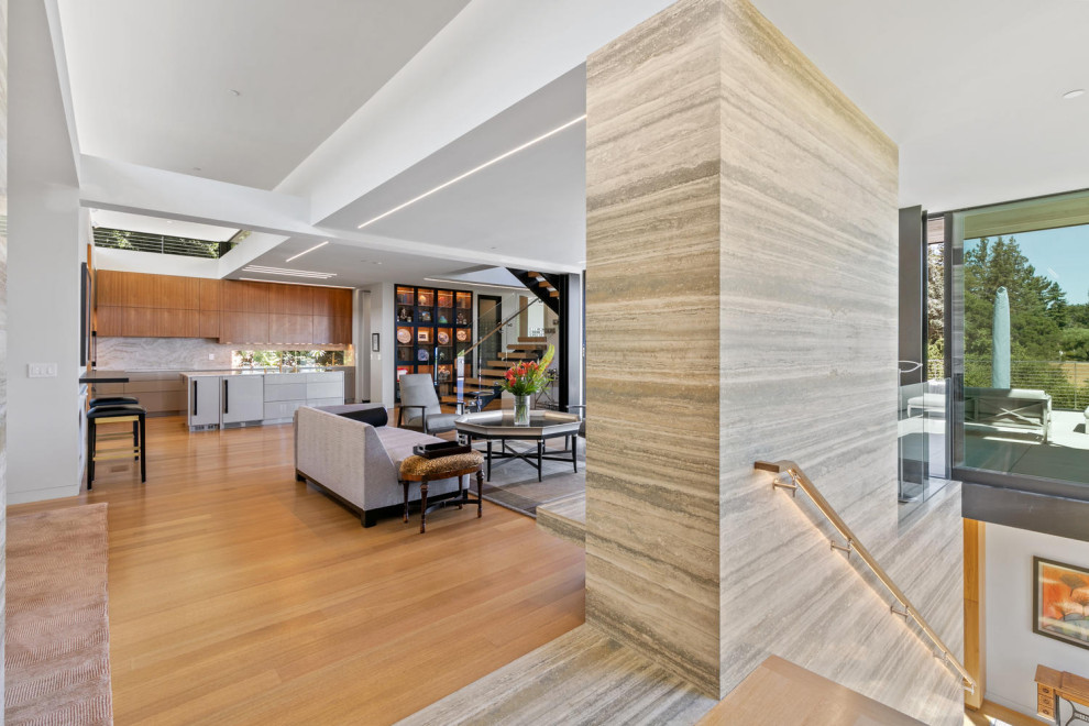 Mittelgroßes Modernes Foyer mit weißer Wandfarbe, hellem Holzboden, Drehtür, dunkler Holzhaustür, braunem Boden und Kassettendecke in San Francisco