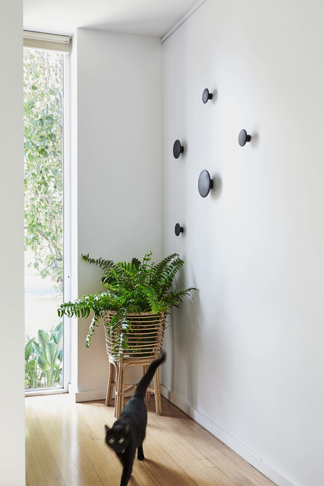 Exempel på en minimalistisk entré, med vita väggar, ljust trägolv och en dubbeldörr