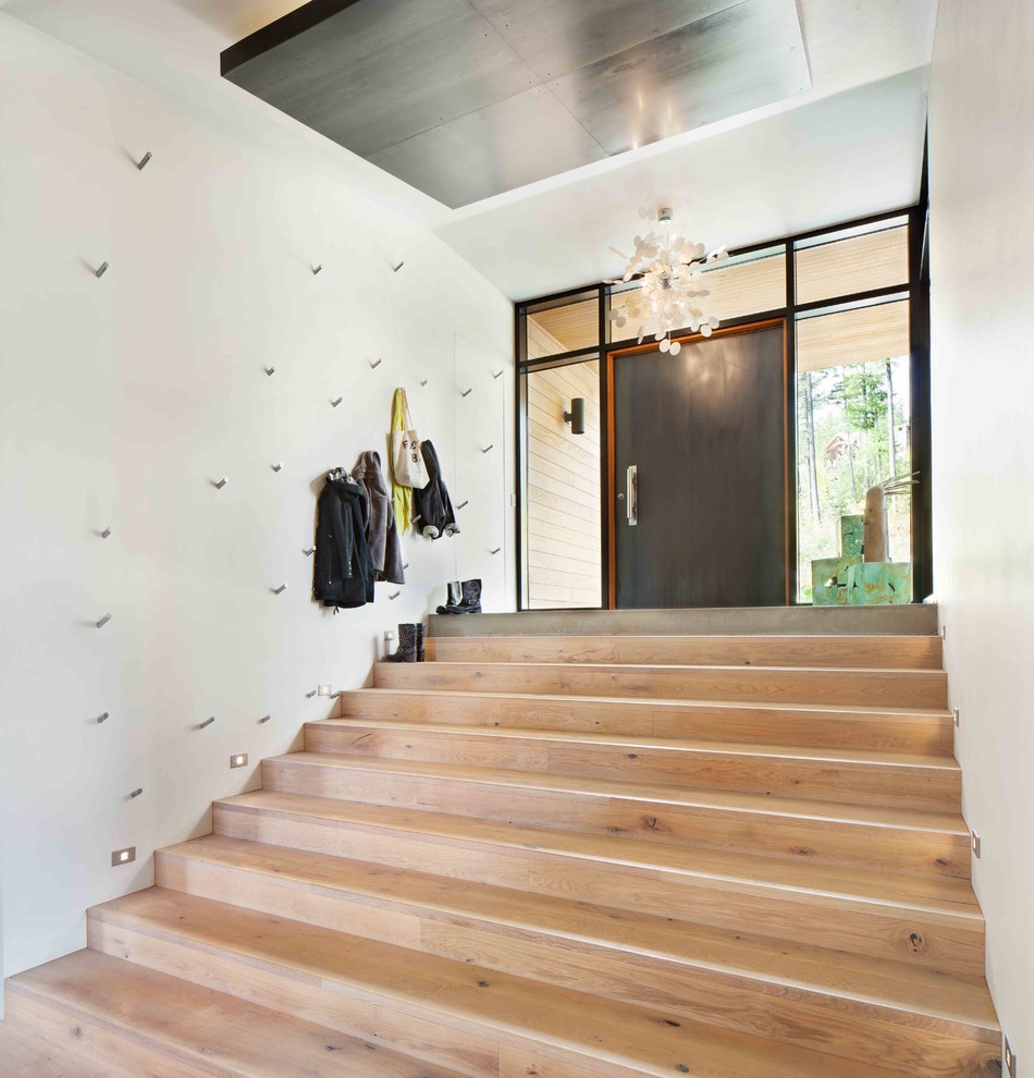 This is an example of a large contemporary hallway in Other with white walls, light hardwood flooring, a single front door and a brown front door.