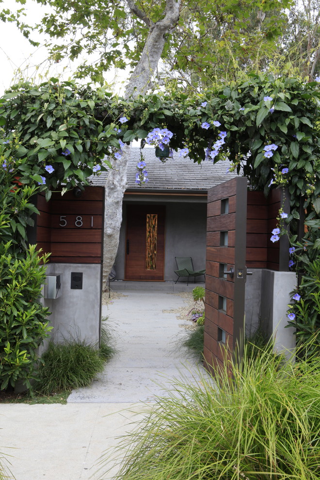 This is an example of a modern entrance in Los Angeles with a single front door and a dark wood front door.