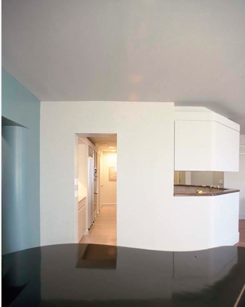 View of Museum Penthouse Apartment - Modern - Entry - New York - by Gail Green ...