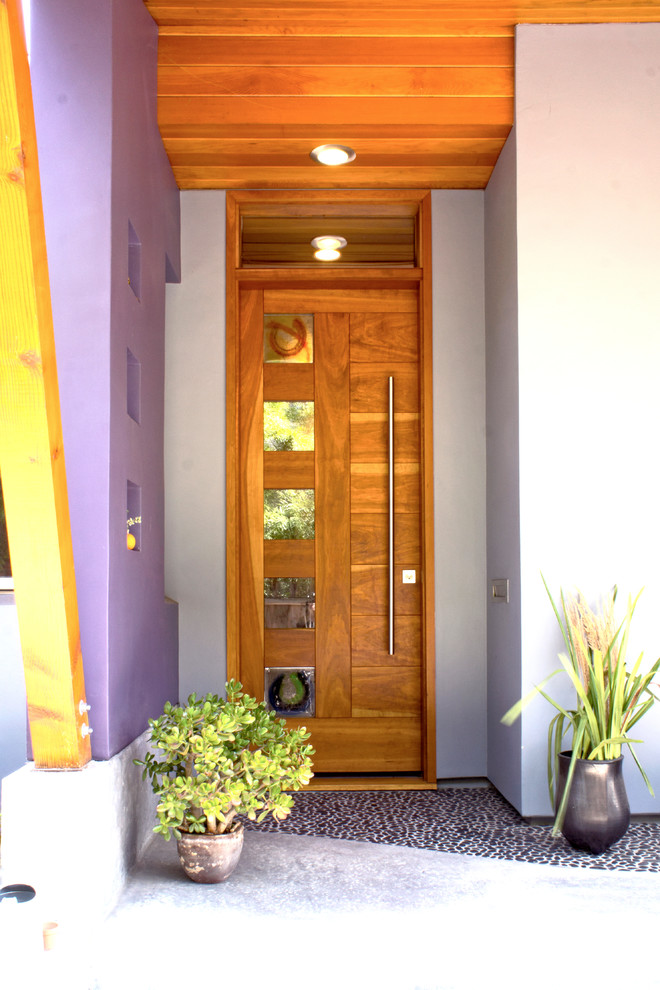 Источник вдохновения для домашнего уюта: входная дверь: освещение в современном стиле с одностворчатой входной дверью и входной дверью из дерева среднего тона