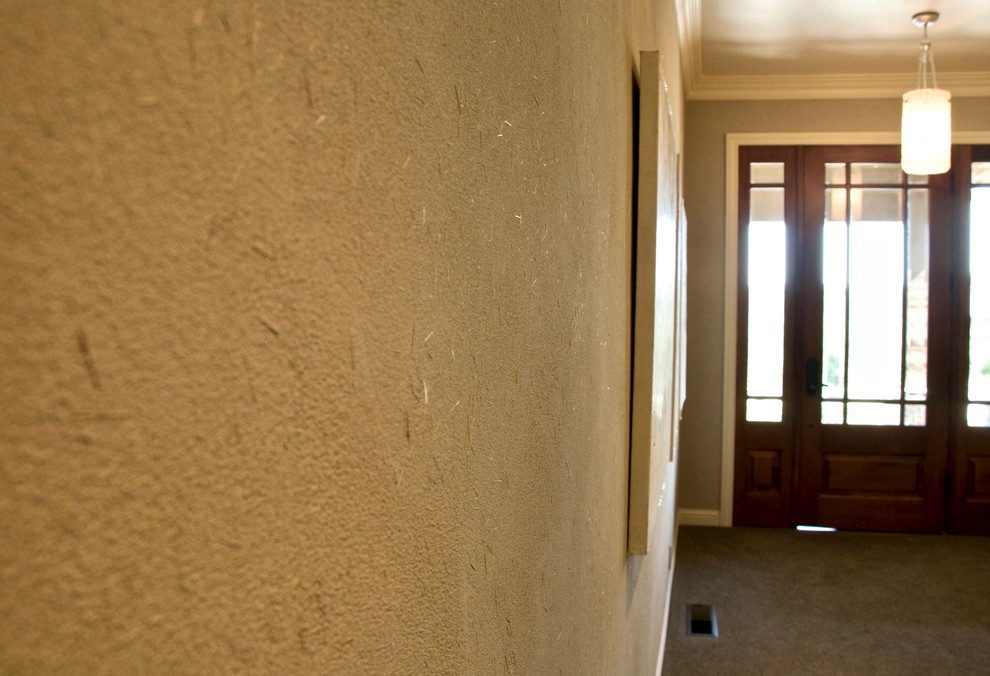 他の地域にある中くらいなトラディショナルスタイルのおしゃれな玄関ドア (ベージュの壁、カーペット敷き、濃色木目調のドア、茶色い床) の写真
