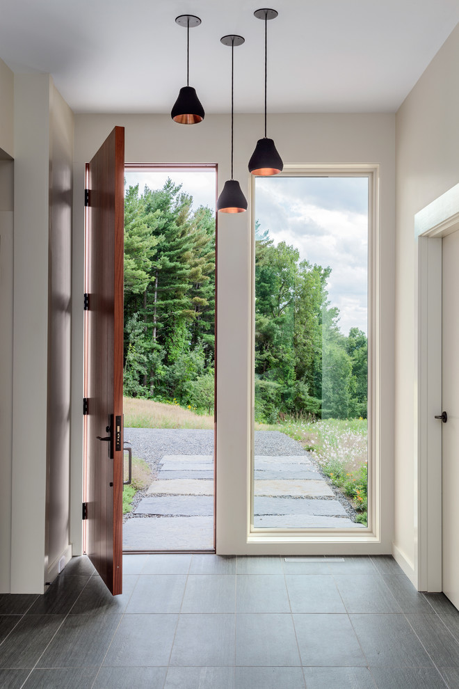 Источник вдохновения для домашнего уюта: фойе среднего размера в современном стиле с белыми стенами, полом из известняка, одностворчатой входной дверью и входной дверью из дерева среднего тона