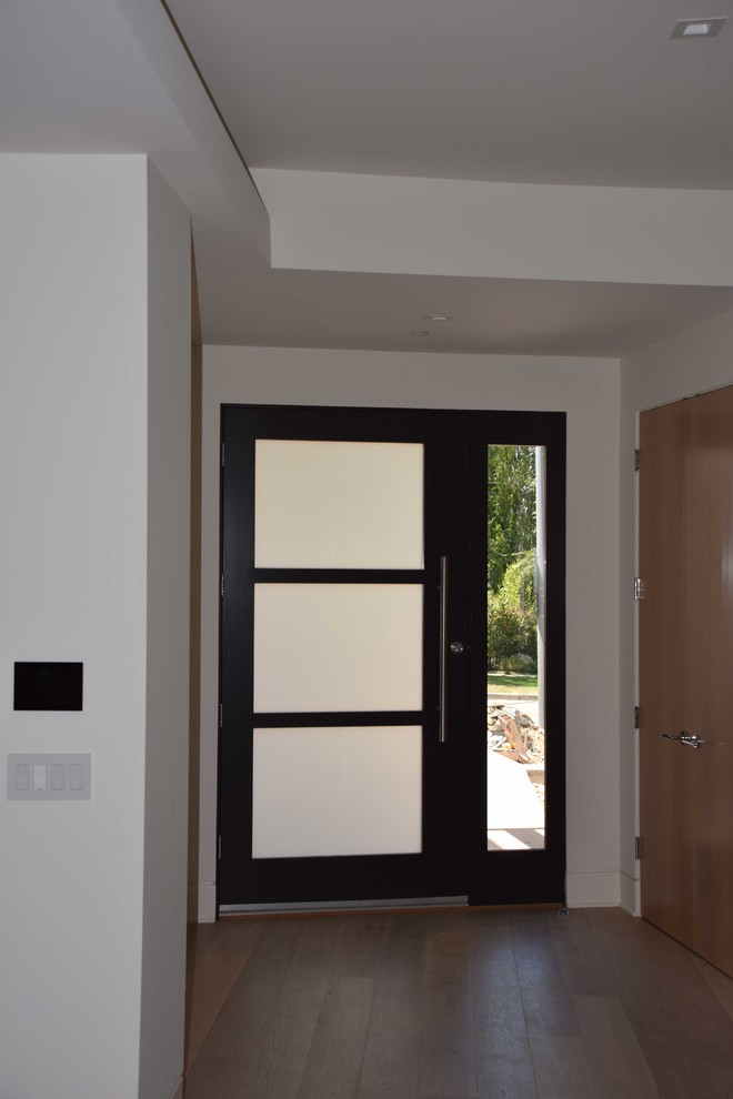 На фото: входная дверь среднего размера в стиле модернизм с белыми стенами, светлым паркетным полом, одностворчатой входной дверью и черной входной дверью с