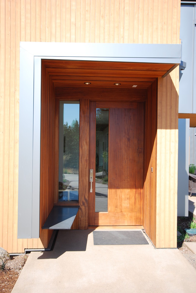 Diseño de entrada contemporánea con puerta simple