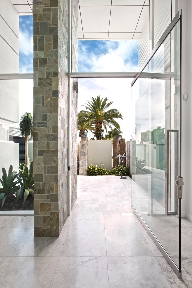 Inspiration pour une porte d'entrée minimaliste avec une porte pivot et une porte en verre.
