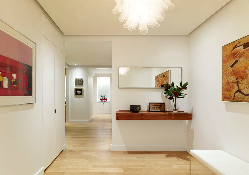 Photo of a medium sized modern foyer in New York with white walls and light hardwood flooring.