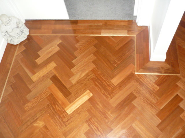 Design ideas for a contemporary entrance in Brisbane with dark hardwood flooring.
