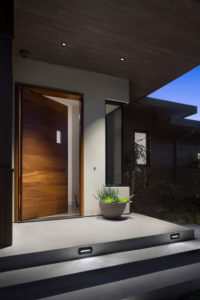Cette image montre une grande porte d'entrée design avec un mur gris, sol en béton ciré, une porte simple et une porte en bois brun.