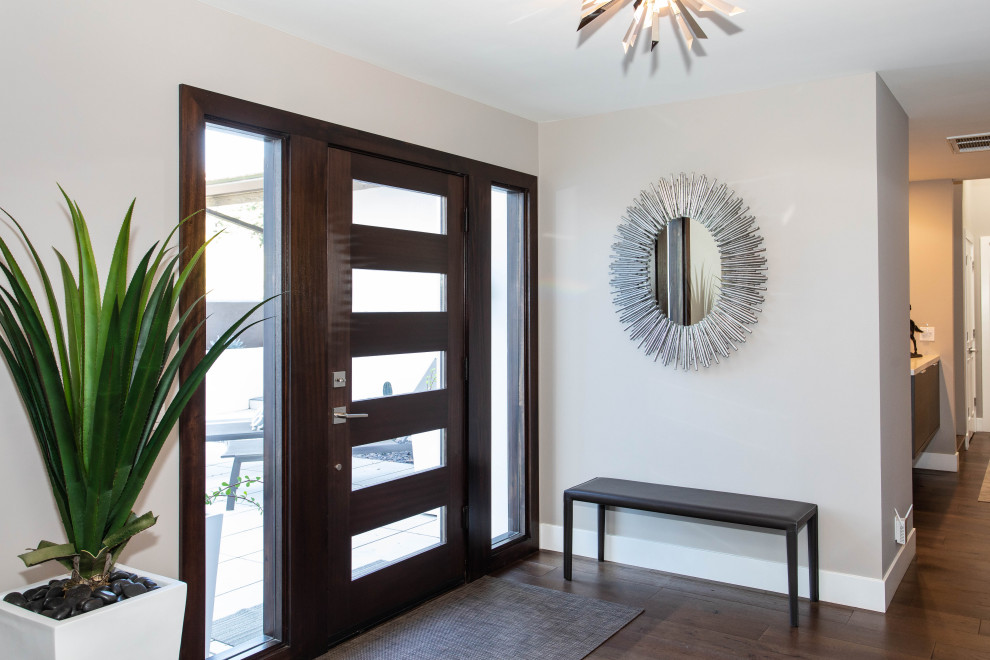 Mittelgroßes Modernes Foyer mit grauer Wandfarbe, dunklem Holzboden, Einzeltür, dunkler Holzhaustür und braunem Boden in Dallas