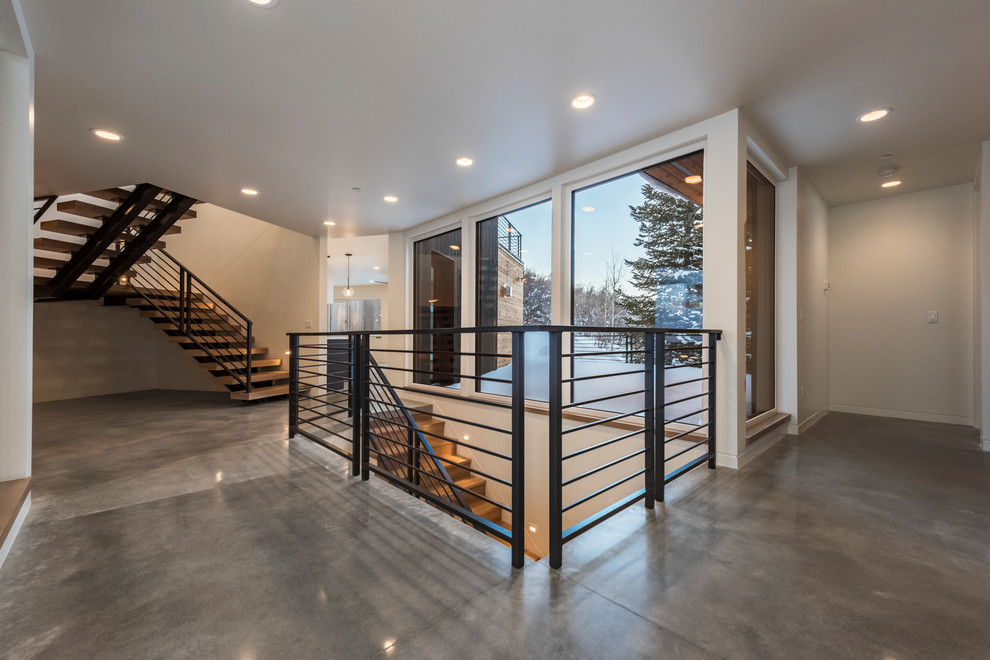 Inspiration for a contemporary entryway remodel in Salt Lake City