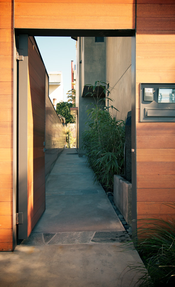 Стильный дизайн: большая входная дверь в современном стиле с коричневыми стенами, одностворчатой входной дверью и входной дверью из дерева среднего тона - последний тренд
