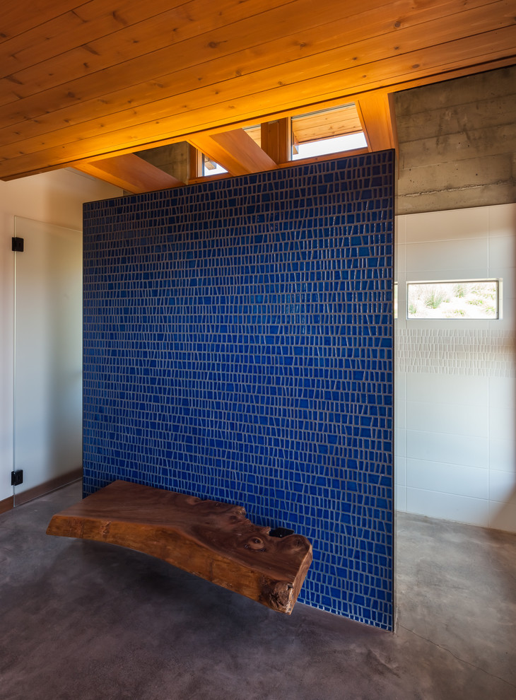 Источник вдохновения для домашнего уюта: прихожая в современном стиле с белыми стенами и бетонным полом