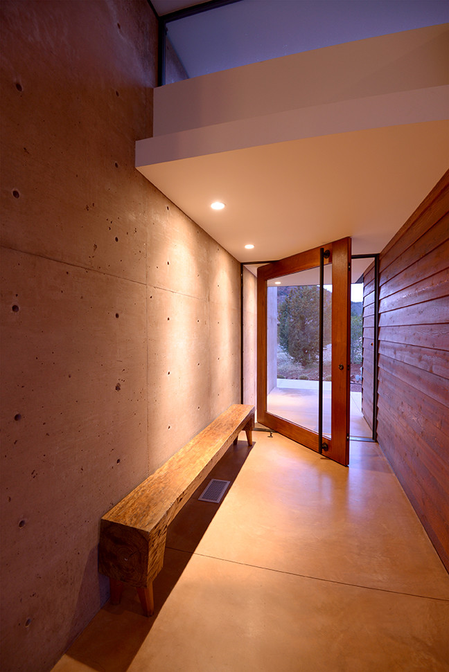 Imagen de puerta principal minimalista de tamaño medio con paredes marrones, suelo de cemento, puerta pivotante y puerta de vidrio