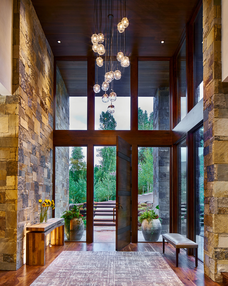 Cette image montre un grand hall d'entrée design avec un sol en bois brun, une porte simple et une porte en bois foncé.
