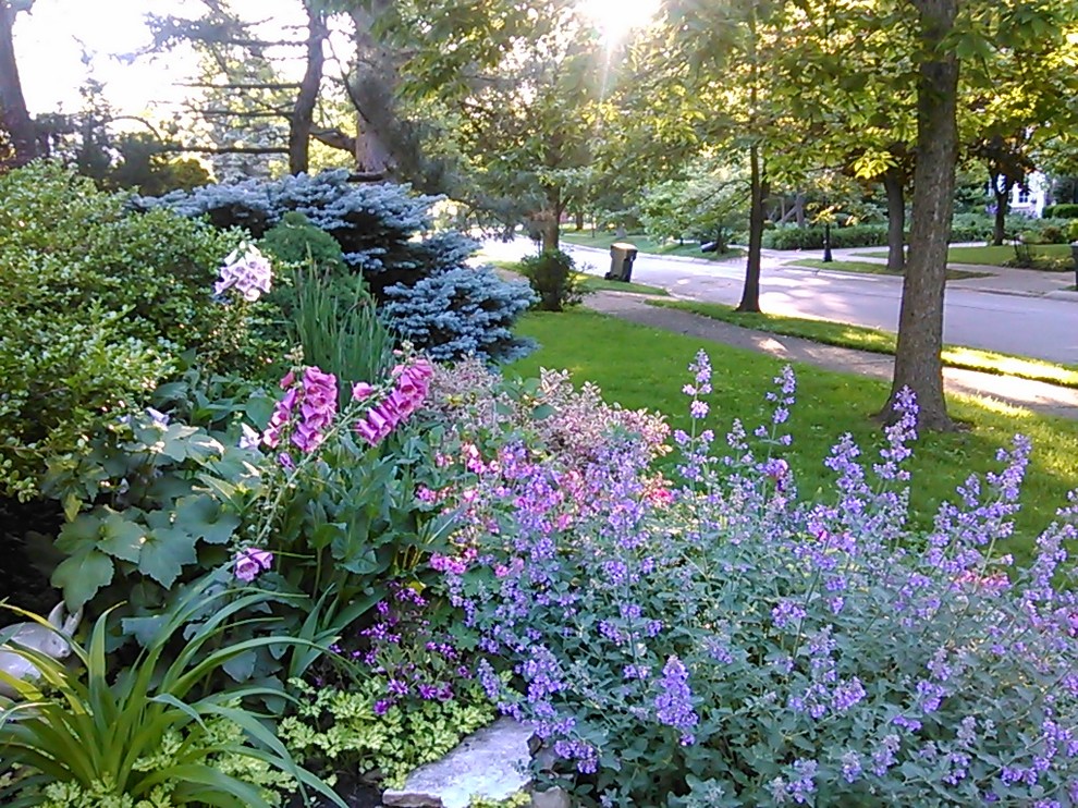 Inspiration for a classic garden in Chicago.