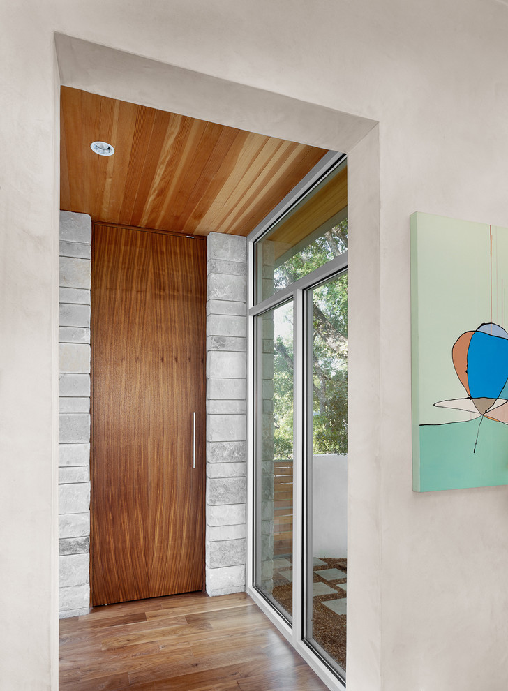 Ejemplo de entrada actual con puerta simple y puerta de madera en tonos medios