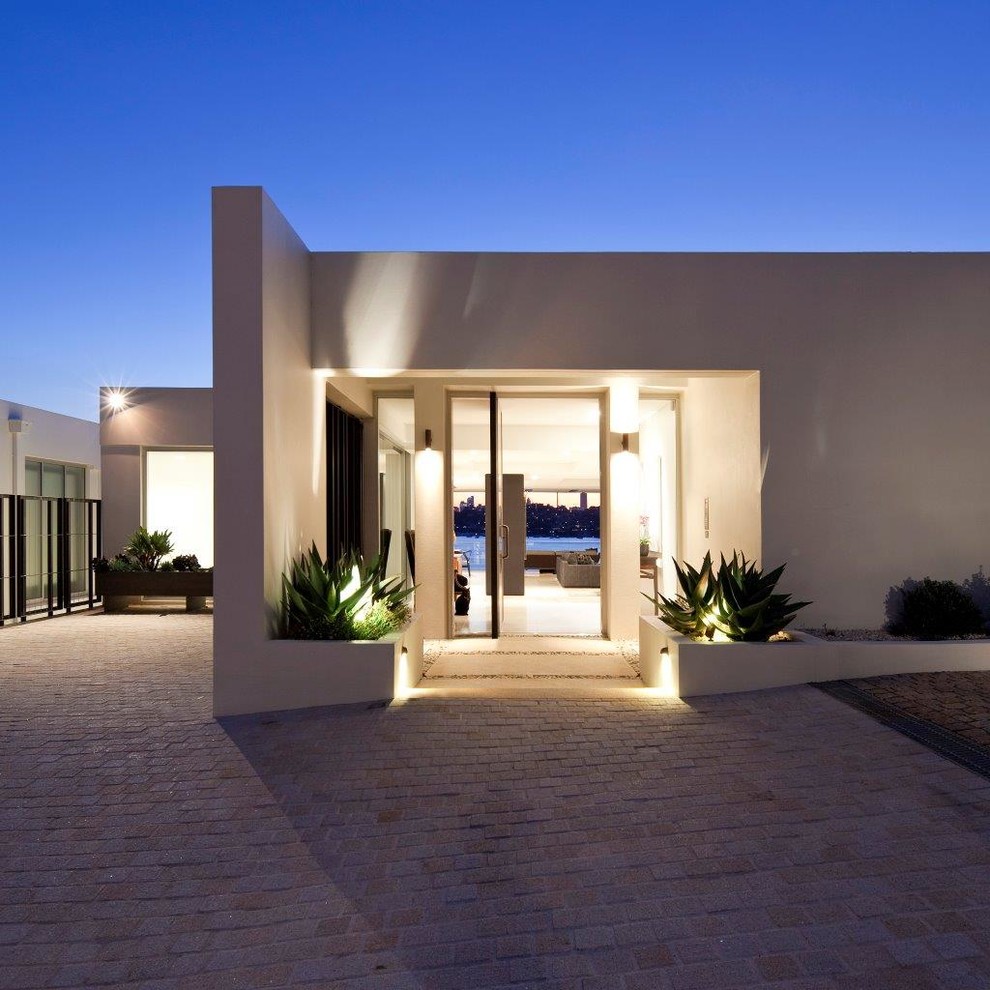Design ideas for a modern front door in Sydney with a pivot front door.