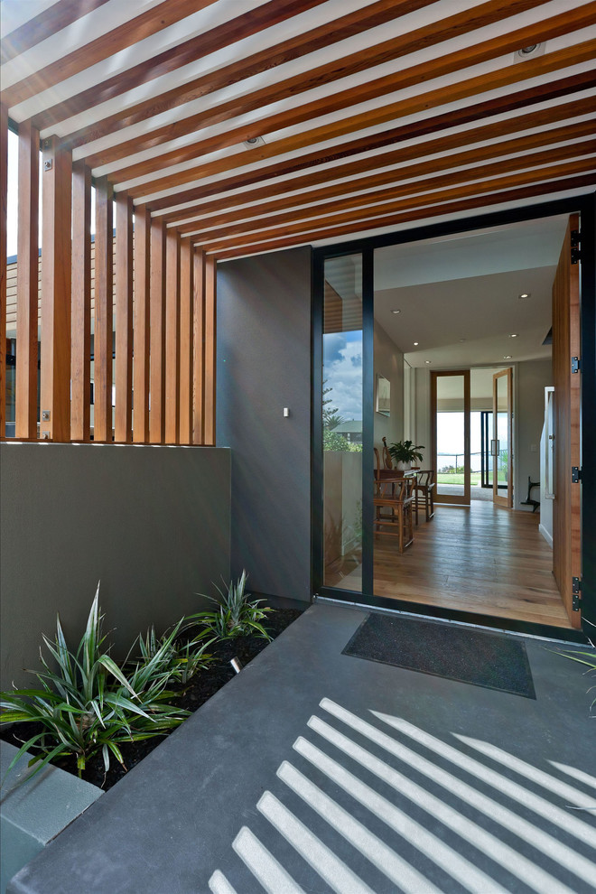 Large contemporary front door in Auckland with white walls, light hardwood flooring, a single front door and a dark wood front door.