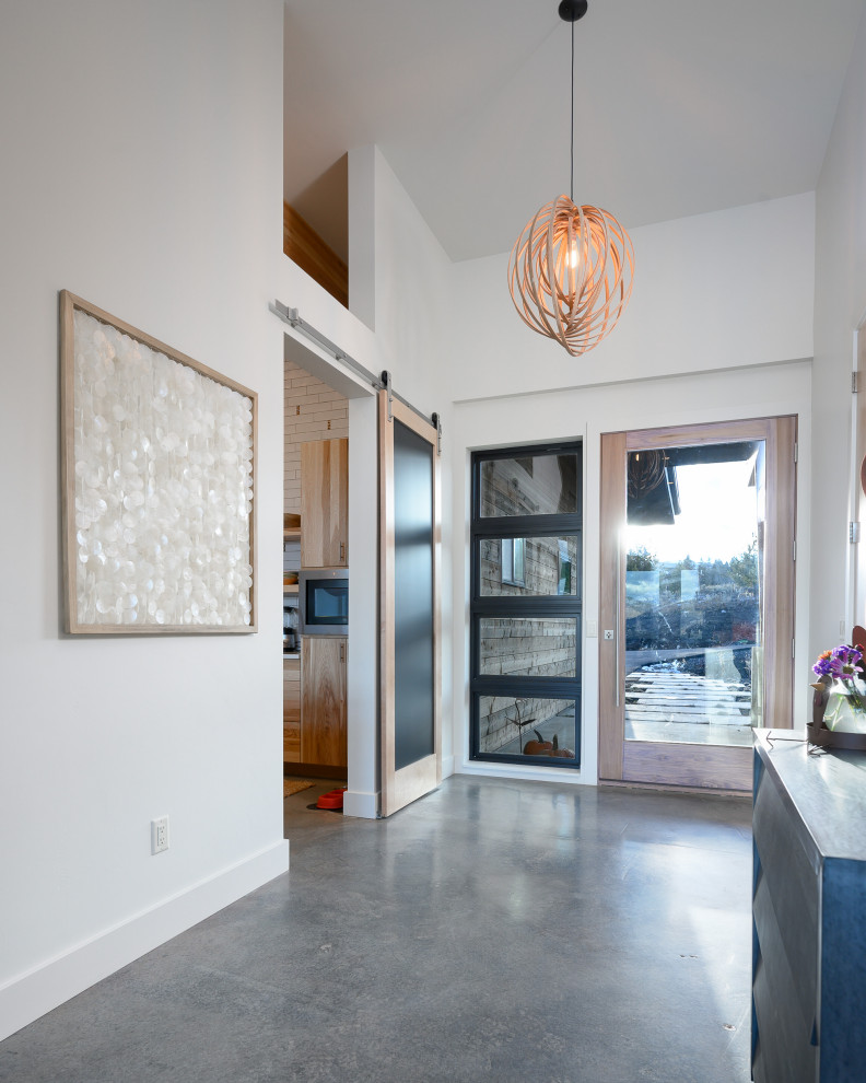 Стильный дизайн: фойе в скандинавском стиле с бетонным полом, одностворчатой входной дверью и стеклянной входной дверью - последний тренд