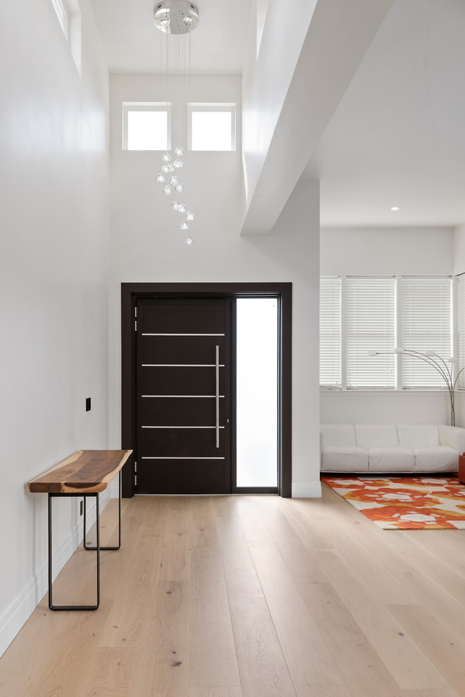 На фото: фойе в современном стиле с белыми стенами, светлым паркетным полом, одностворчатой входной дверью, черной входной дверью и бежевым полом с