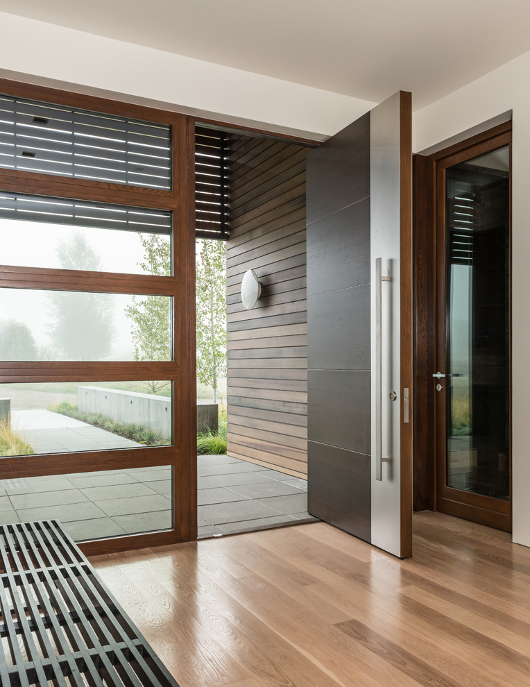 Exemple d'une entrée tendance avec un mur blanc, un sol en bois brun, une porte pivot et une porte en bois foncé.