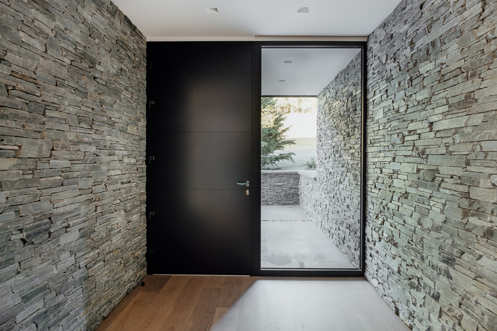 Große Mid-Century Haustür mit schwarzer Wandfarbe, hellem Holzboden, Einzeltür, schwarzer Haustür und braunem Boden in Sonstige