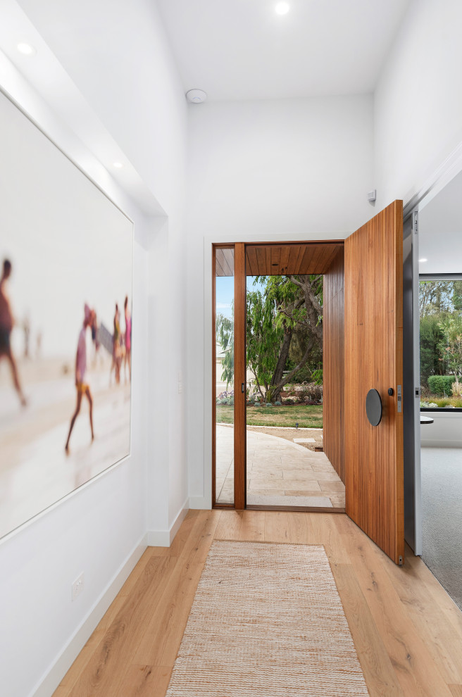 Imagen de hall moderno grande con paredes blancas, suelo de madera en tonos medios, puerta simple, puerta de madera oscura y suelo marrón