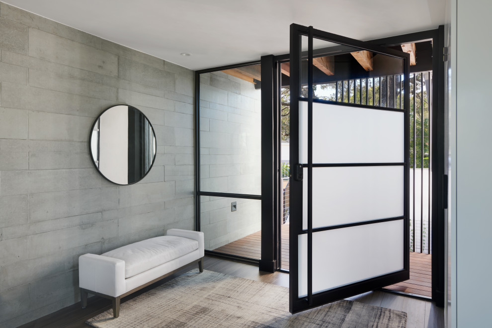 Diseño de puerta principal moderna de tamaño medio con paredes grises, suelo de madera oscura, puerta pivotante, puerta de vidrio, suelo marrón y madera