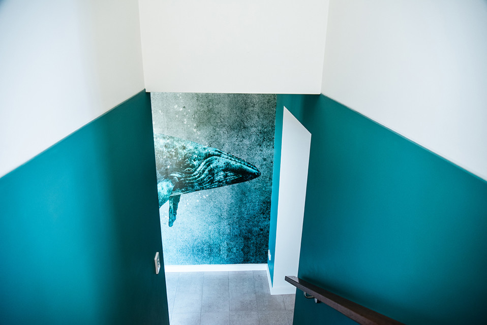 Cette photo montre une porte d'entrée bord de mer de taille moyenne avec une porte simple, une porte en verre, un mur vert, un sol en carrelage de porcelaine et un sol gris.