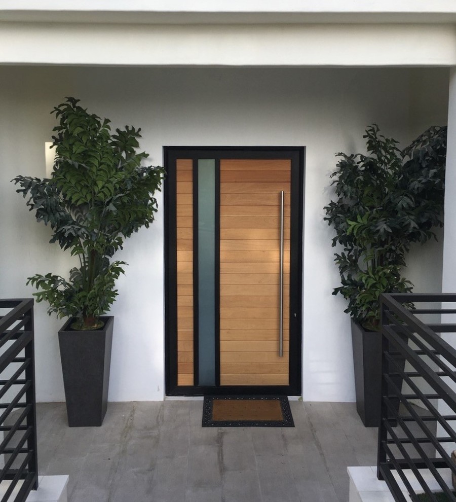 Идея дизайна: входная дверь среднего размера в стиле модернизм с одностворчатой входной дверью и входной дверью из дерева среднего тона