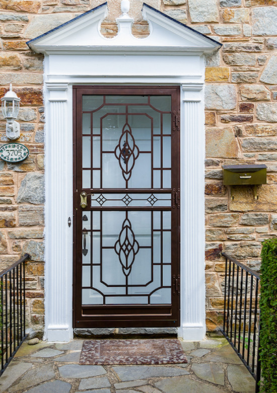 Steel Security Storm Door Gallery Entry Baltimore by Master Seal
