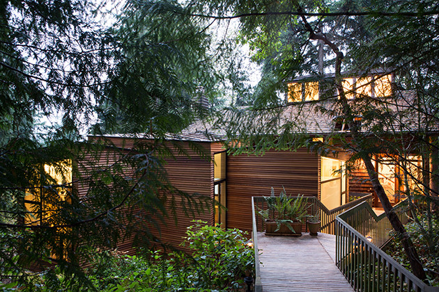 Small danish light wood floor and vaulted ceiling entryway photo in Seattle with a medium wood front door and white walls