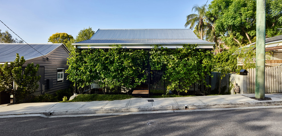 Moderne Haustür mit schwarzer Wandfarbe, hellem Holzboden, Drehtür und schwarzer Haustür in Brisbane
