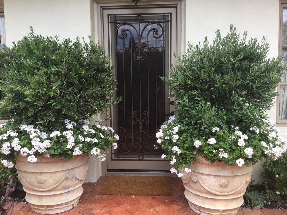 Inspiration for a medium sized mediterranean front door in San Diego with brick flooring, a single front door, a glass front door and red floors.