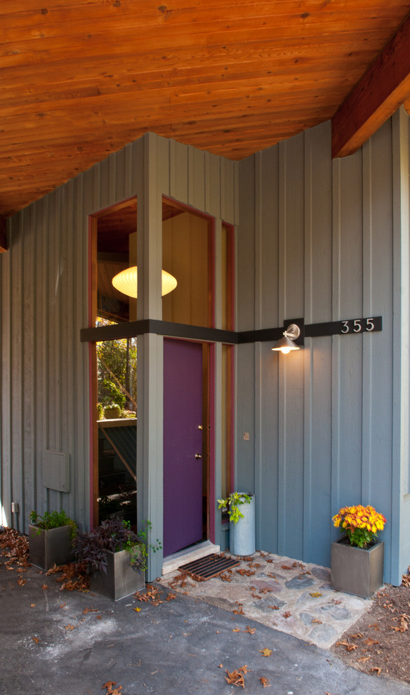 Идея дизайна: прихожая в современном стиле с фиолетовой входной дверью