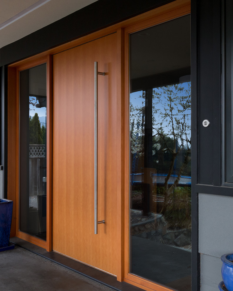 Diseño de puerta principal actual grande con paredes grises, suelo de cemento, puerta pivotante y puerta de madera en tonos medios