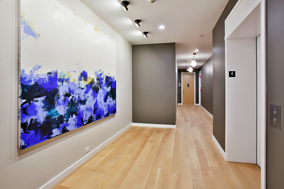 Imagen de hall contemporáneo de tamaño medio con paredes grises, suelo de madera clara, puerta simple y puerta de madera en tonos medios