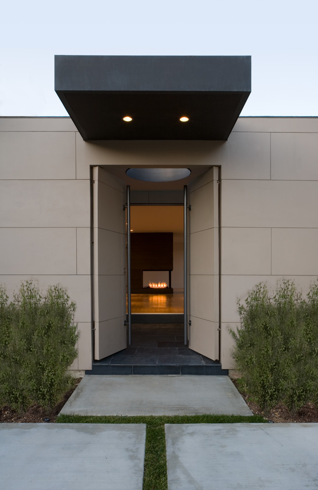 Réalisation d'une entrée design avec une porte grise et un mur gris.