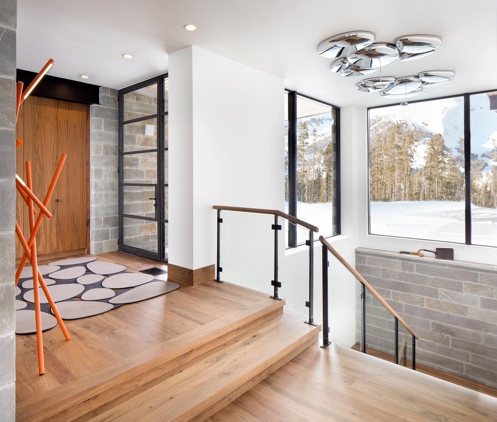 Modernes Foyer mit weißer Wandfarbe, hellem Holzboden, Doppeltür und hellbrauner Holzhaustür in Sonstige