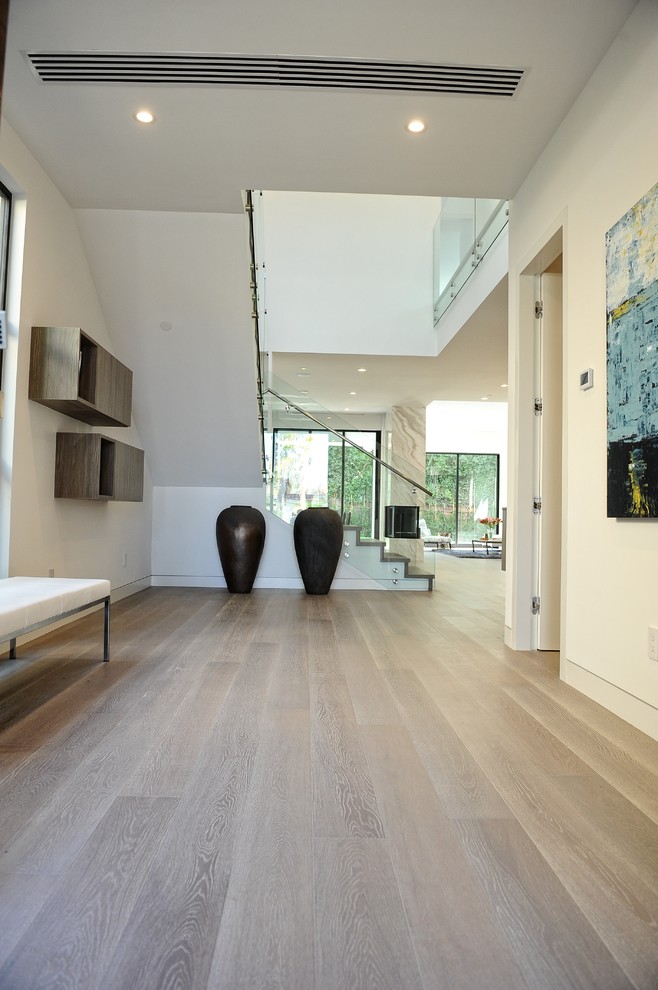 Photo of a modern entrance in Los Angeles with medium hardwood flooring.