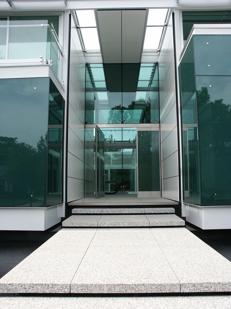 Cette photo montre une entrée tendance avec une porte pivot et une porte en verre.