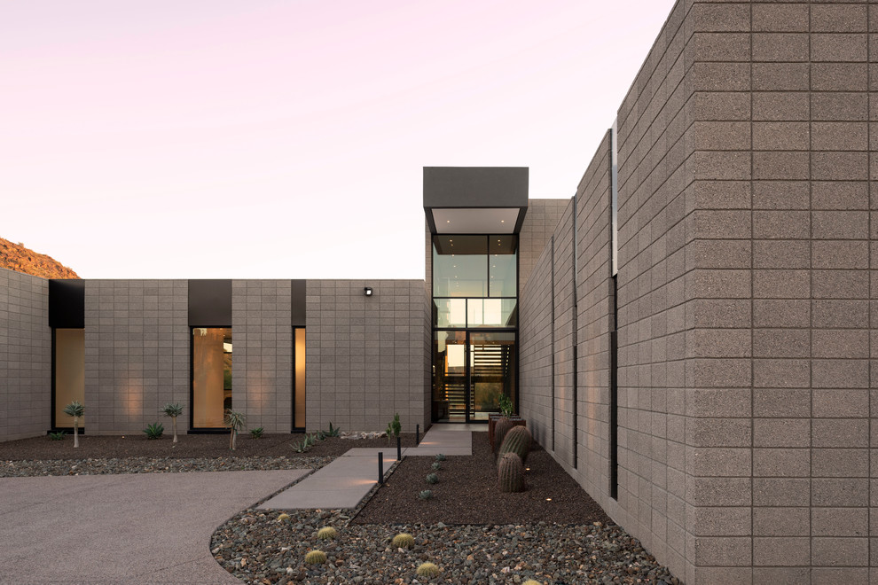 Idéer för en mellanstor modern ingång och ytterdörr, med svarta väggar, betonggolv, en pivotdörr, glasdörr och grått golv