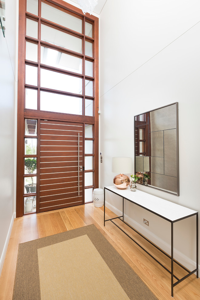 シドニーにあるコンテンポラリースタイルのおしゃれな玄関 (白い壁、淡色無垢フローリング、濃色木目調のドア) の写真