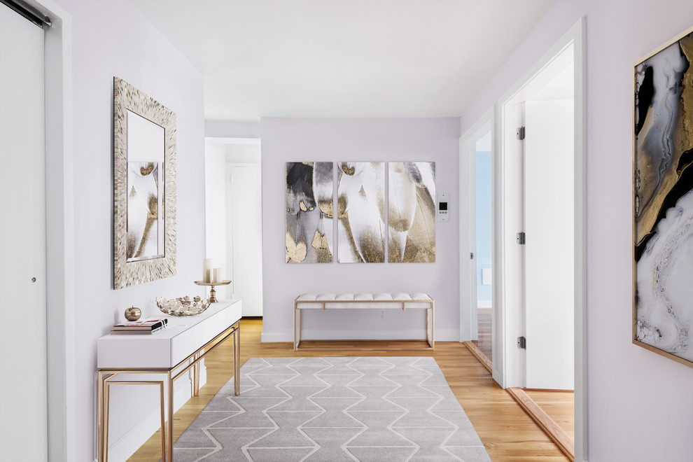 Inspiration for a medium sized classic entrance in New York with medium hardwood flooring, brown floors and pink walls.