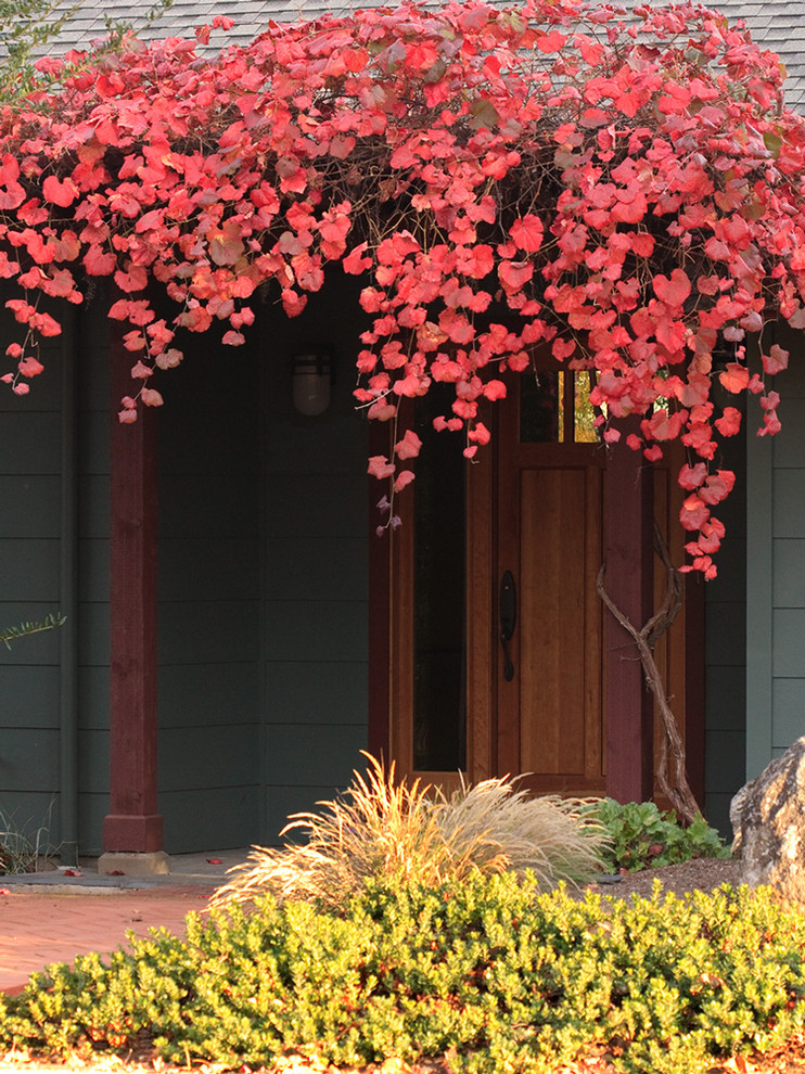 Trendy front door photo in Other