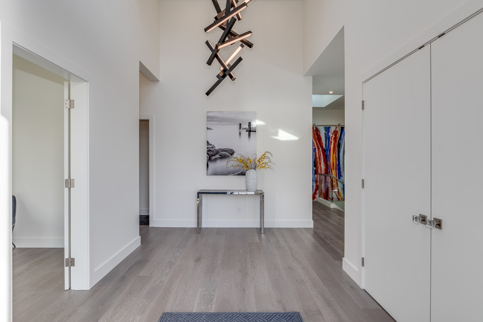 Modernes Foyer mit weißer Wandfarbe, hellem Holzboden, Drehtür, dunkler Holzhaustür und grauem Boden in Vancouver