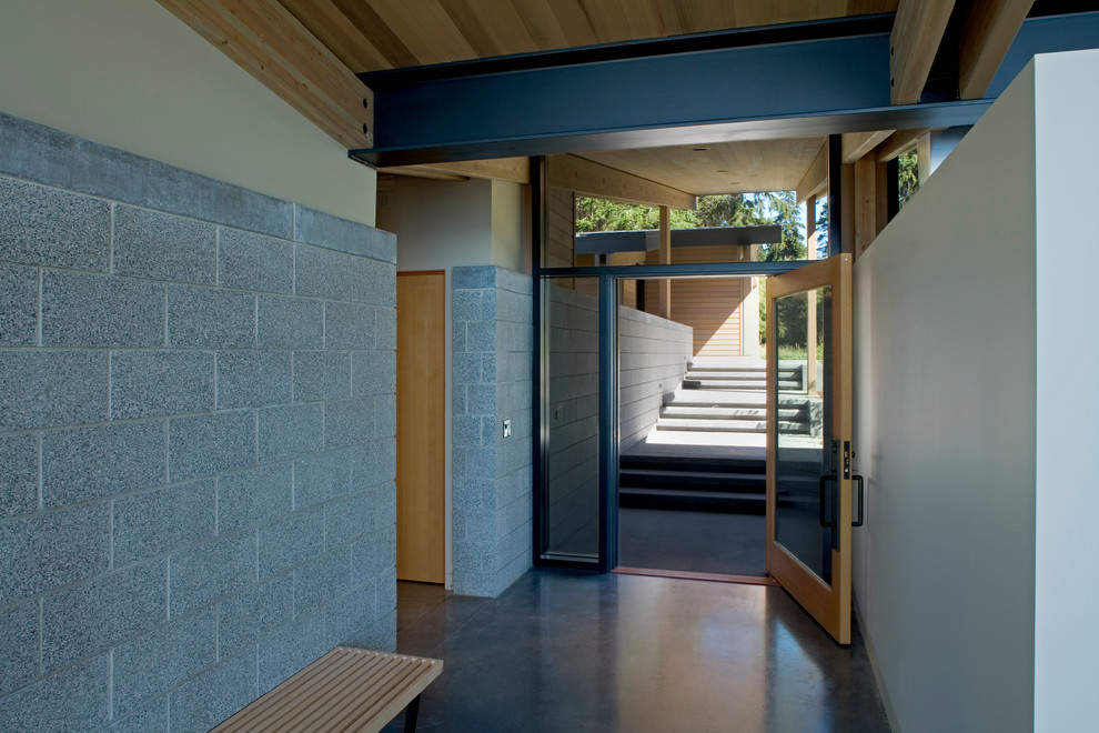 Aménagement d'une entrée éclectique avec sol en béton ciré, une porte pivot et une porte en verre.